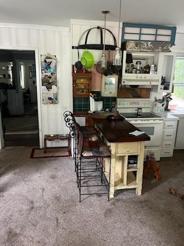 Before 2 - Before and After - Kulesza - Rogers Kitchens